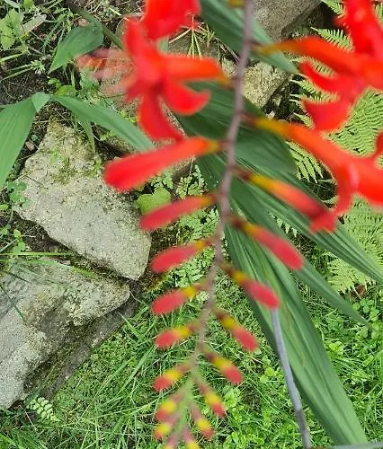 度假居 Gorski Promyk Z Kominkiem *