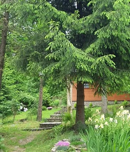 Gorski Promyk Z Kominkiem *