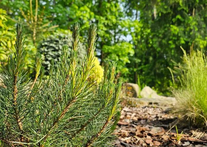 Gorski Promyk Z Kominkiem 度假居 *